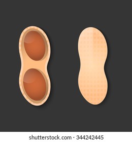 Peanuts. Vector illustration of a set of peanuts