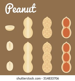 Peanuts. Vector illustration of a set of peanuts,flat design