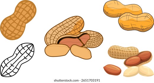 peanuts vector. peanuts isolated. Peanut. 3d realistic vector icon set. on white background.