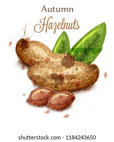 Peanuts Vector watercolor isolated on white. Painted style illustrations