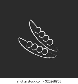 Peapod hand drawn in chalk on a blackboard vector white icon isolated on a black background.