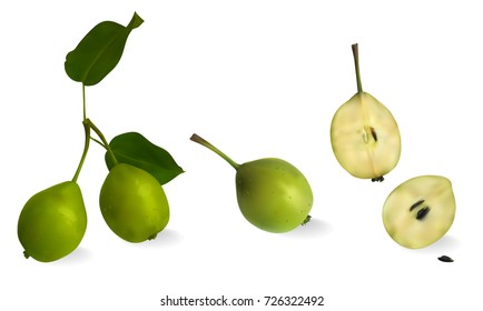 Pear. 3D vector. Realistic illustration