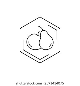 Pear and apple icon inside hexagonal frame on white background. Vector fruit black line pictogram. Tropical themes, fruits, pollen, field honey in a minimalistic style.