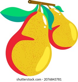 Pear Autumn taste Japanese pear Western pear
