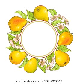 pear branches frame