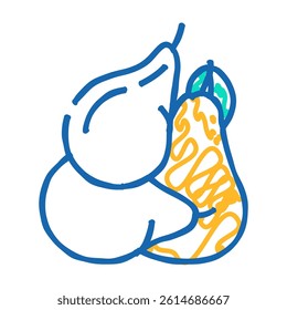 pear bunch whole doodle icon sketch vector. pear bunch whole sign. isolated symbol illustration