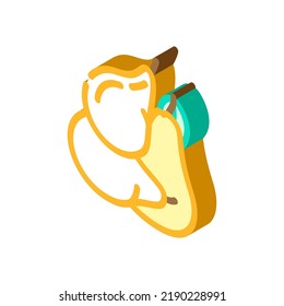 Birnenbunch ganzer isometrischer Icon Vektorgrafik. Birnenkuchen-Schild. einzelne Symbolillustration