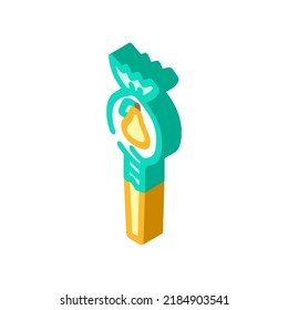 pear candy isometric icon vector. pear candy sign. isolated symbol illustration