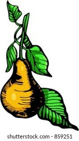 Pear. Check my portfolio for many more images of this series.