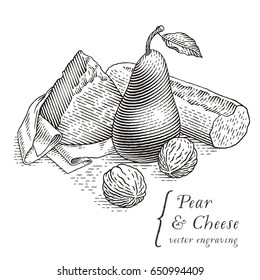 Pear and cheese. Hand drawn engraving style illustrations. 