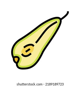 pear conference slice color icon vector. pear conference slice sign. isolated symbol illustration