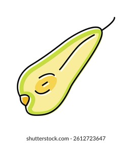 pear conference slice color icon vector. pear conference slice sign. isolated symbol illustration