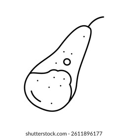 pear conference whole line icon vector. pear conference whole sign. isolated contour symbol black illustration