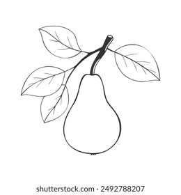 Pear contour drawn on white background. Vector illustration