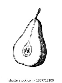 Pear cut in half. Ink sketch isolated on white background. Hand drawn vector illustration. Retro style.