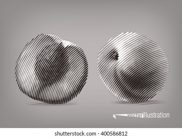 Pear in a cut. Vector artwork in the style of ink drawing