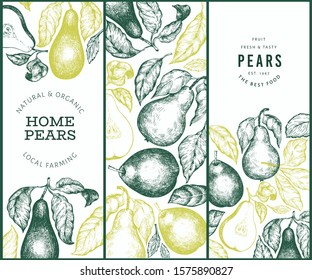 Pear design set. Hand drawn vector garden fruit illustration. Engraved style garden retro botanical banner.