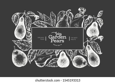 Pear design template. Hand drawn vector garden fruit illustration on chalk board. Engraved style garden vintage botanical banner.