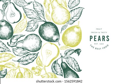 Pear design template. Hand drawn vector garden fruit illustration. Engraved style garden vintage botanical banner.