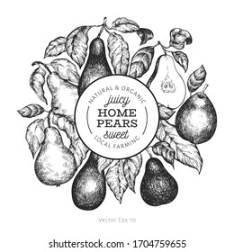 Planilla de diseño de peras. Ilustración de frutas vectoriales dibujada a mano. Marco de frutas del jardín de estilo grabado. Cartel botánico vintage.