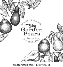 Pear design template. Hand drawn vector garden fruit illustration. Engraved style garden fruit frame. Retro botanical banner.