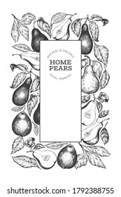 Pear design template. Hand drawn vector garden fruit illustration. Engraved style garden fruit frame. Retro botanical banner.