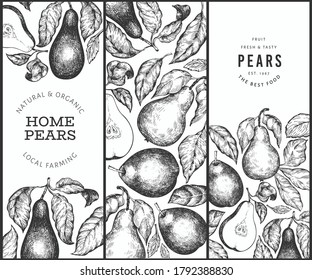 Plantilla de diseño de peras. Ilustración de frutas vectoriales dibujadas a mano. Marco de fruta de jardín de estilo grabado. Banner botánico retro.