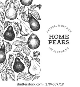 Pear design template. Hand drawn vector garden fruit illustration. Engraved style garden fruit frame. Retro botanical banner.