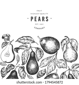 Pear design template. Hand drawn vector garden fruit illustration. Engraved style garden fruit frame. Retro botanical banner.