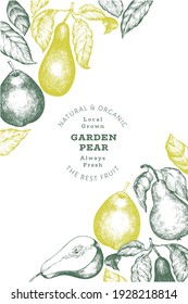 Pear design template. Hand drawn vector garden fruit illustration. Engraved style garden retro botanical banner.
