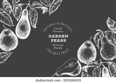 Pear design template. Hand drawn vector garden fruit illustration on chalk board. Retro botanical banner.