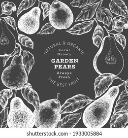 Pear design template. Hand drawn vector garden fruit illustration on chalk board. Retro botanical banner.