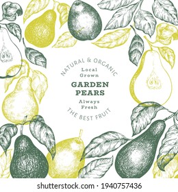 Pear design template. Hand drawn vector garden fruit illustration. Engraved style garden retro botanical banner.