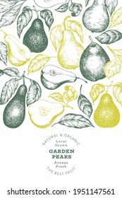 Pear design template. Hand drawn vector garden fruit illustration. Engraved style garden retro botanical banner.