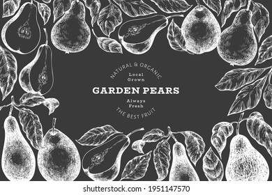 Pear design template. Hand drawn vector garden fruit illustration on chalk board. Retro botanical banner.