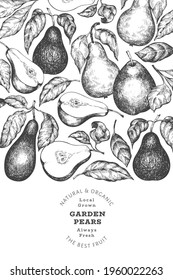 Pear design template. Hand drawn vector garden fruit illustration. Engraved style garden retro botanical banner.