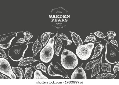 Pear design template. Hand drawn vector garden fruit illustration on chalk board. Retro botanical banner.