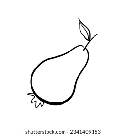 Pear doodle, cooking ingredient. Hand drawn food