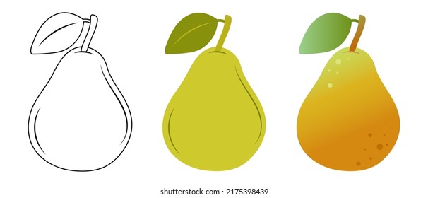 Pear. Doodle illustration of a pear. Pear vector illustration	