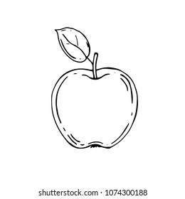 Pear in doodle style icons vector illustration for design. Hand drawn