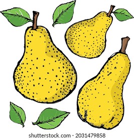 Pear Drawing Leaves White Background Stock Vector (Royalty Free ...