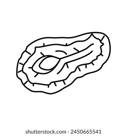 Vector de línea de fruta seca de pera. signo de fruta seca de pera. símbolo de contorno aislado ilustración negra