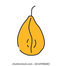 pear dried fruit line icon vector. pear dried fruit sign. isolated symbol illustration