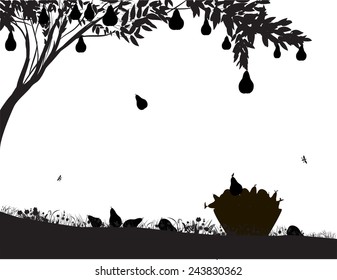 pear falls down from the pear tree, shadows black and white, bucket full of pears on the grass, nature product, harvest, vector