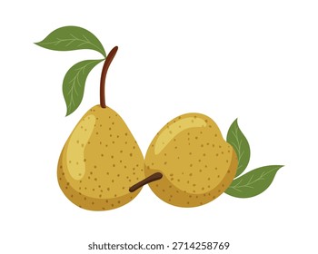 Pera. Clipart de Vector plano, ilustración con fondo aislado.
