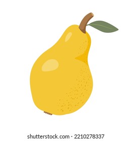 Pear flat vector illustration. Citrus isolated on white background