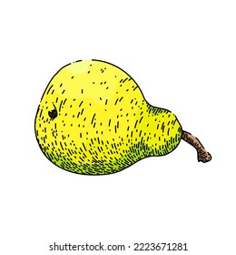 pear food hand drawn vector. fruit ripe, tree fresh, leaf green, white juicy, agriculture organic sweet pear food sketch. isolated color illustration