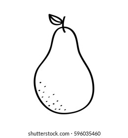 pear fresh fruit drawing icon