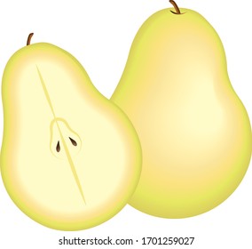 Pear Fresh fruit illustration vector