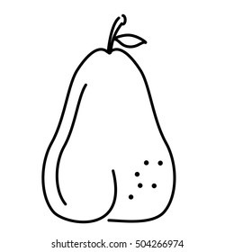 pear fresh fruit isolated icon vector illustration design